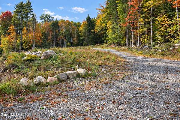 10 Acres of Land for Sale in Pottersville, New York