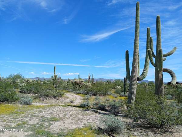3.33 Acres of Residential Land for Sale in Marana, Arizona