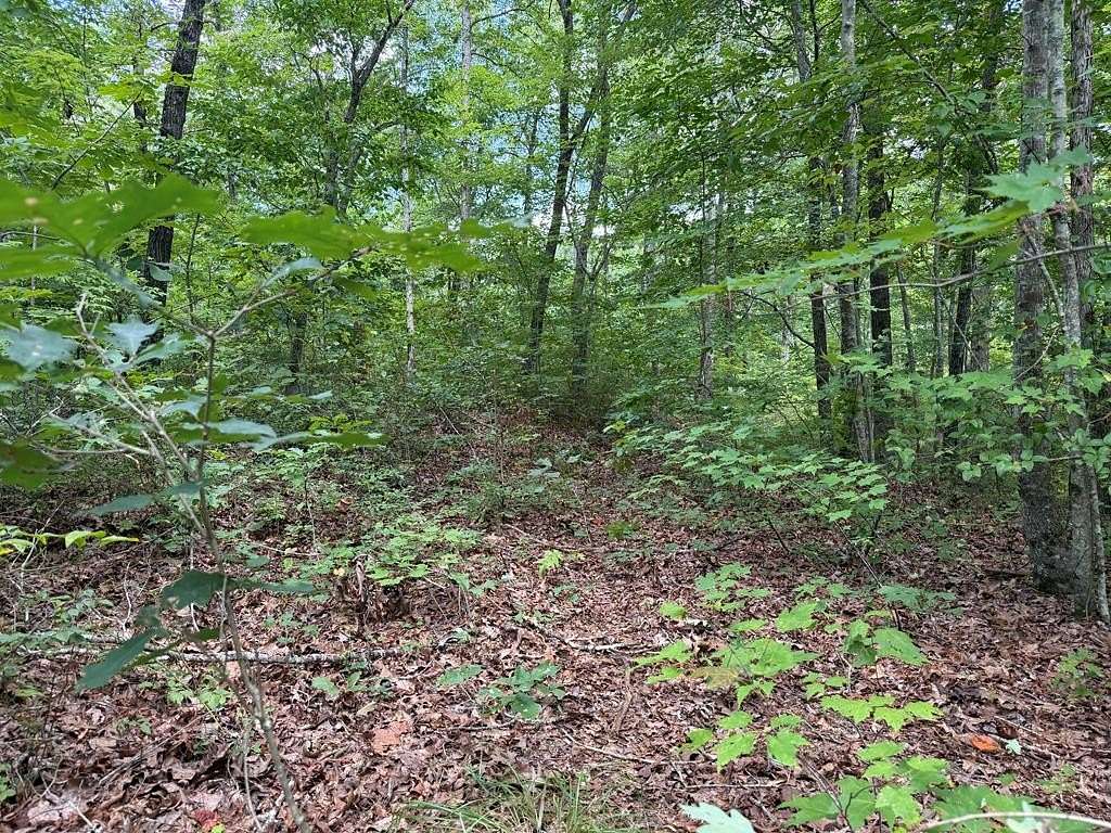 1 Acre of Land for Sale in Ellijay, Georgia