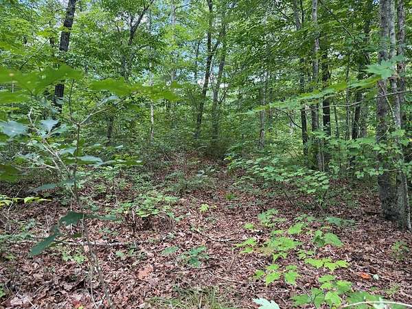 1 Acre of Land for Sale in Ellijay, Georgia