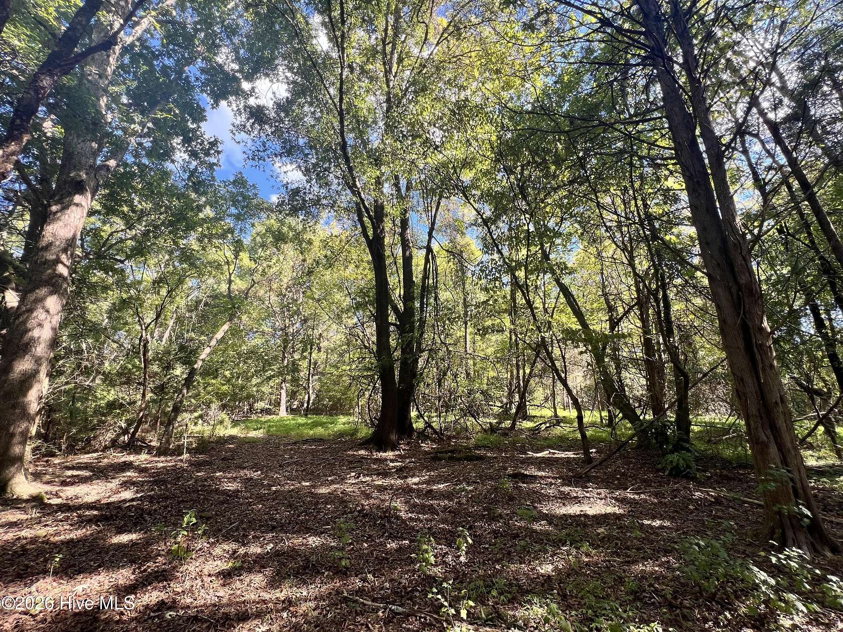 3.36 Acres of Residential Land for Sale in Hillsborough, North Carolina