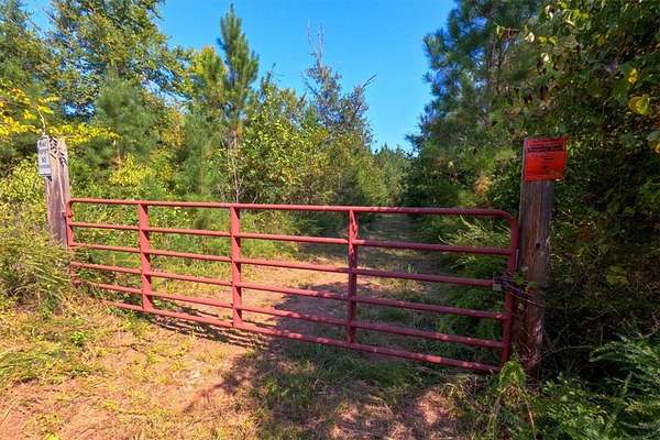 79.9 Acres of Recreational Land for Sale in Iva, South Carolina