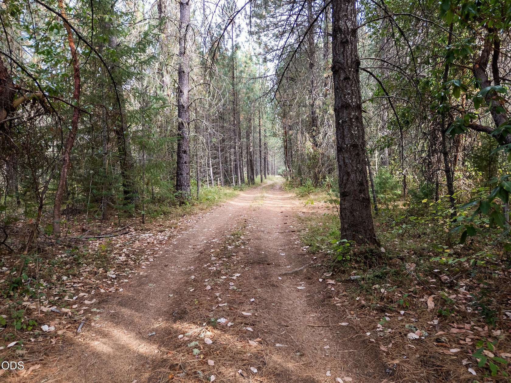 12.4 Acres of Land for Sale in Selma, Oregon