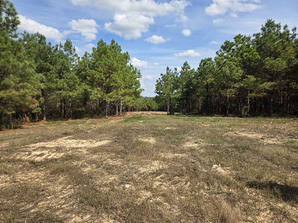 21 Acres of Recreational & Residential Land for Sale in Dover, Tennessee