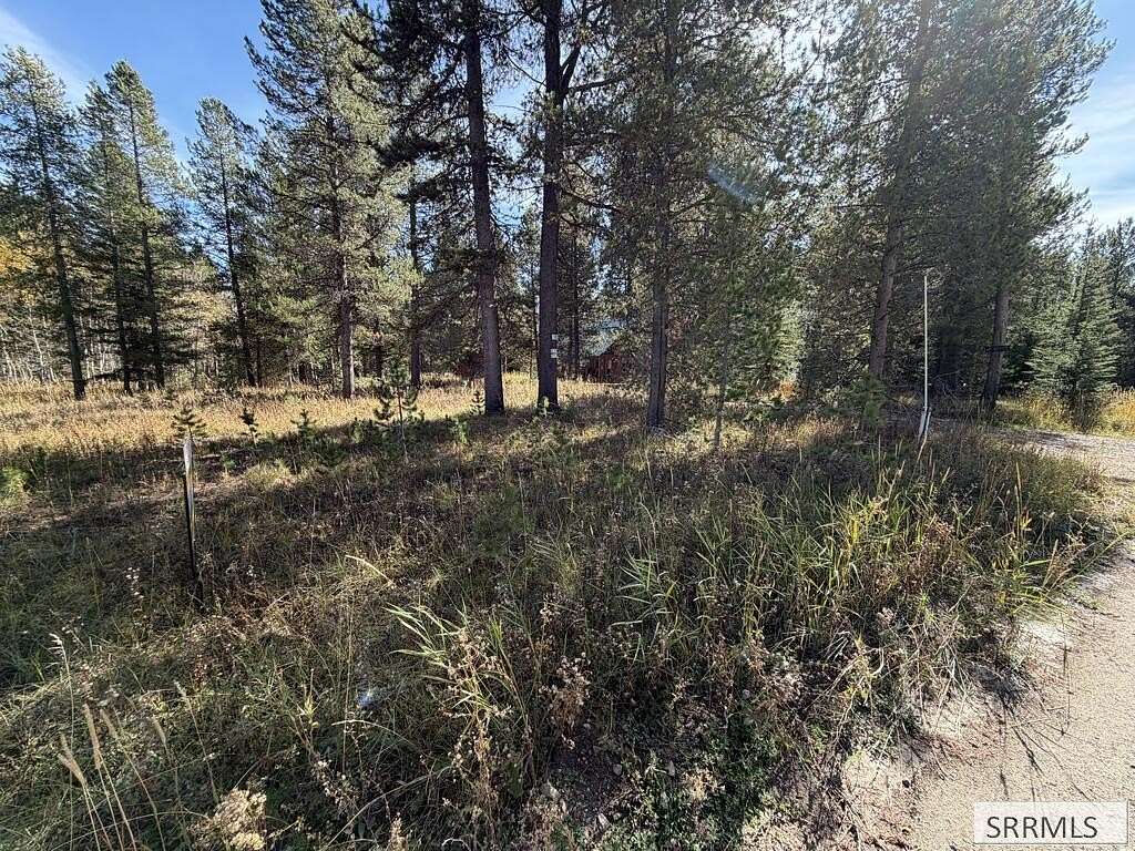 0.38 Acres of Residential Land for Sale in Island Park, Idaho