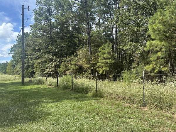 12.7 Acres of Recreational & Residential Land for Sale in Apple Springs, Texas