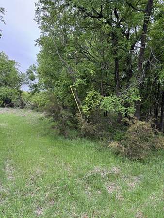 0.27 Acres of Residential Land for Sale in Whitney, Texas