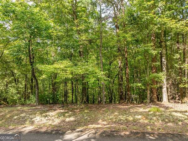 0.97 Acres of Residential Land for Sale in Ellijay, Georgia