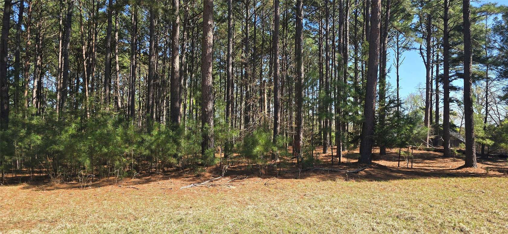 2 Acres of Residential Land for Sale in LaRue, Texas