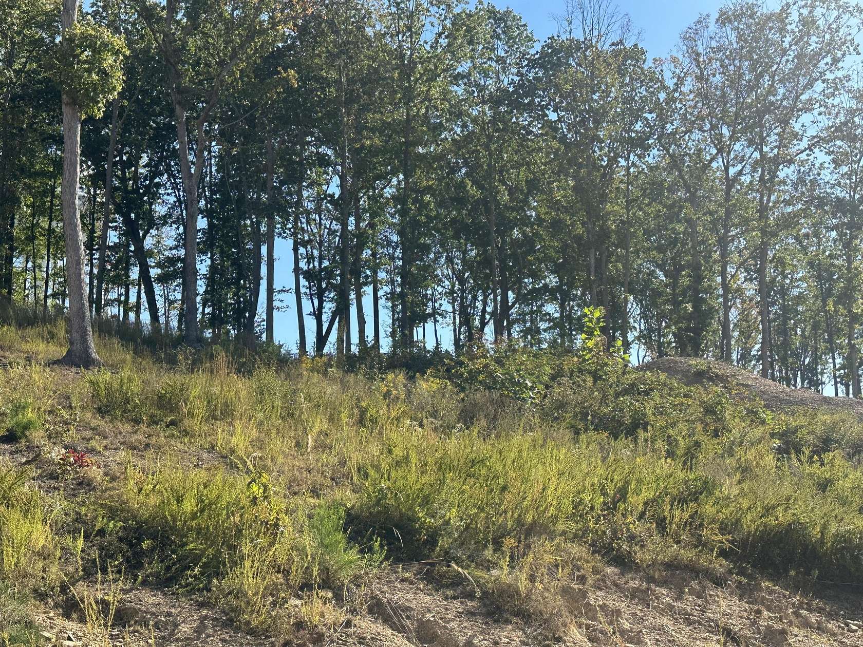 0.5 Acres of Residential Land for Sale in Corbin, Kentucky