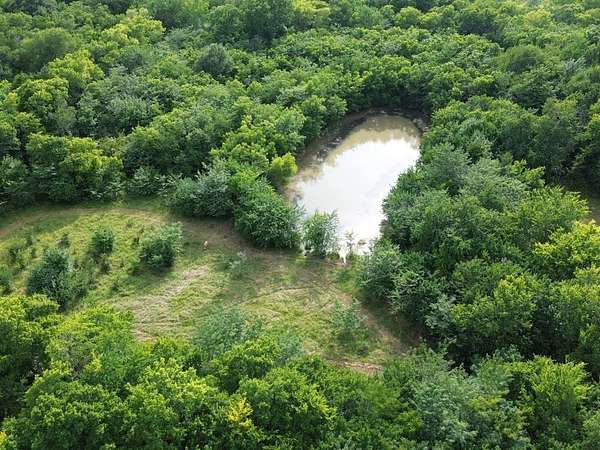 40 Acres of Land for Sale in Campbell, Texas