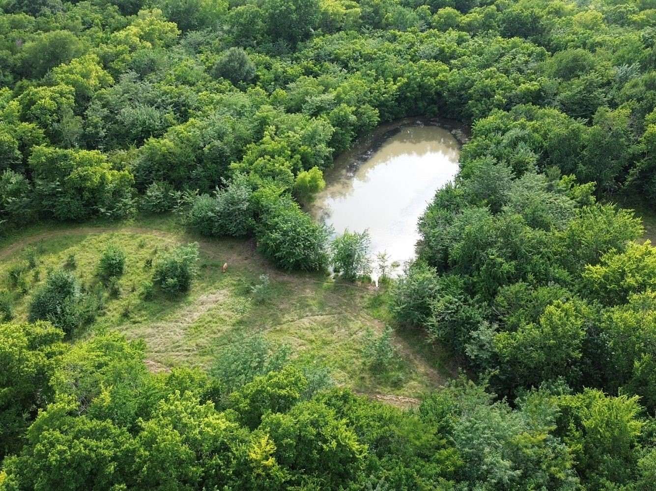37 Acres of Land for Sale in Campbell, Texas