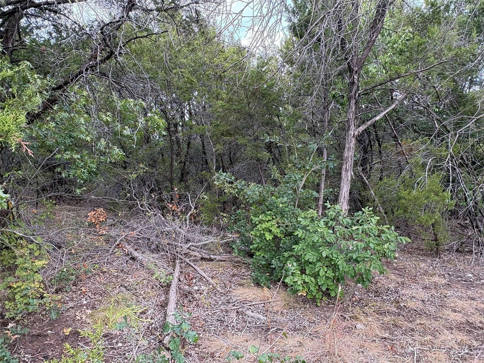 0.06 Acres of Residential Land for Sale in Granbury, Texas