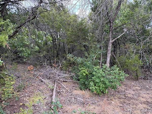 0.06 Acres of Residential Land for Sale in Granbury, Texas