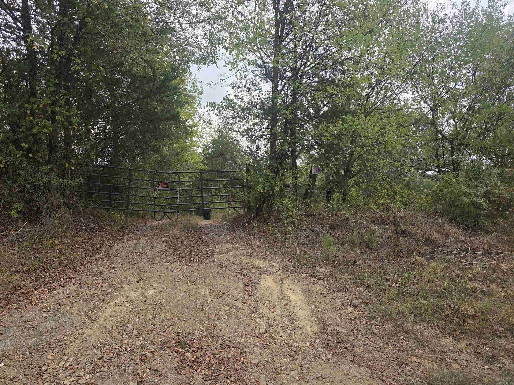 30 Acres of Recreational Land for Sale in Gillham, Arkansas