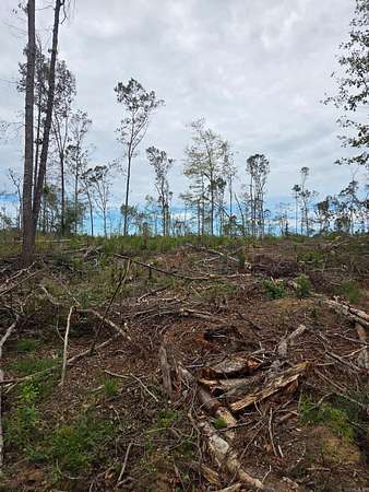 40 Acres of Land for Sale in Bauxite, Arkansas