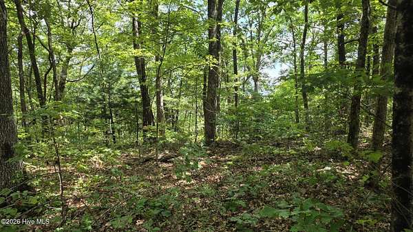 3.59 Acres of Land for Sale in Murphy, North Carolina