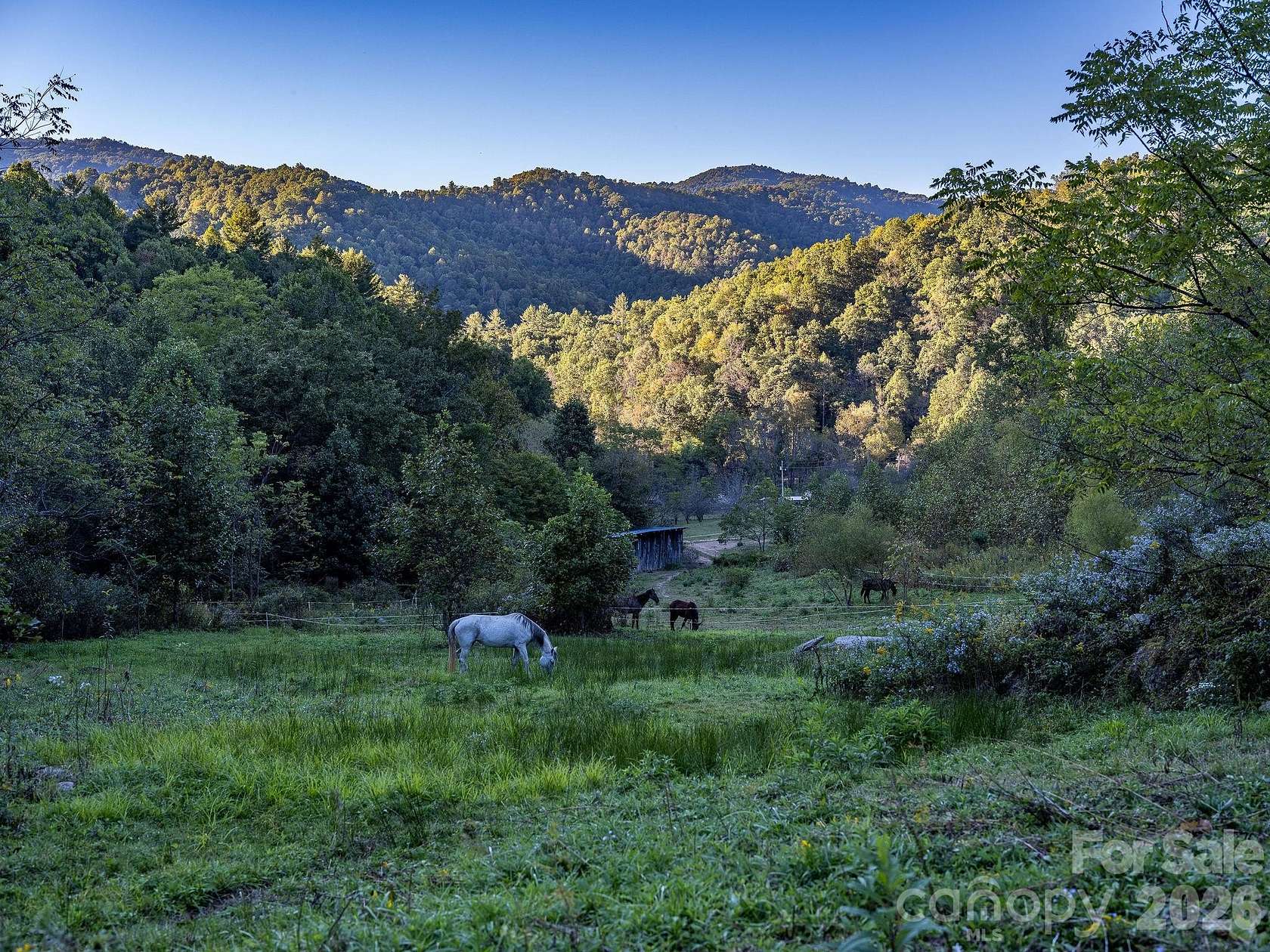 31.9 Acres of Land with Home for Sale in Clyde, North Carolina