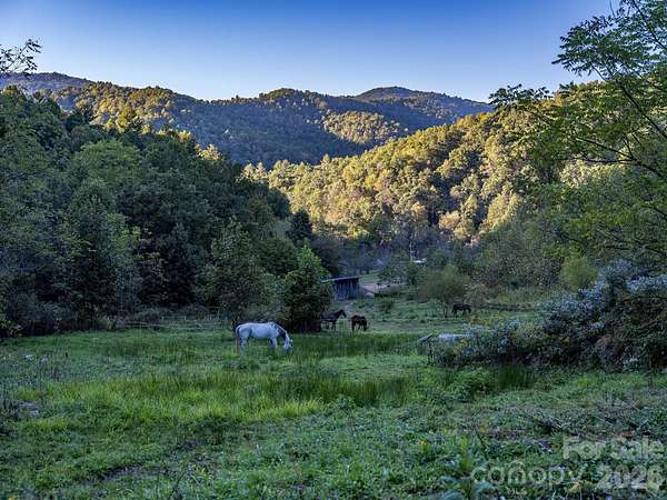 31.9 Acres of Land with Home for Sale in Clyde, North Carolina