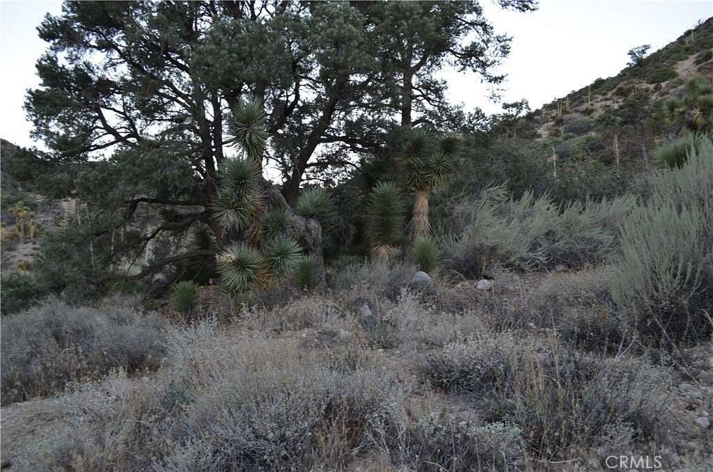 1.25 Acres of Residential Land for Sale in Piñon Hills, California