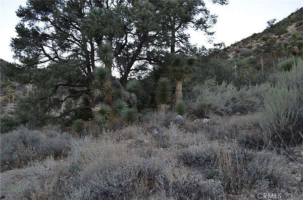 1.25 Acres of Residential Land for Sale in Piñon Hills, California
