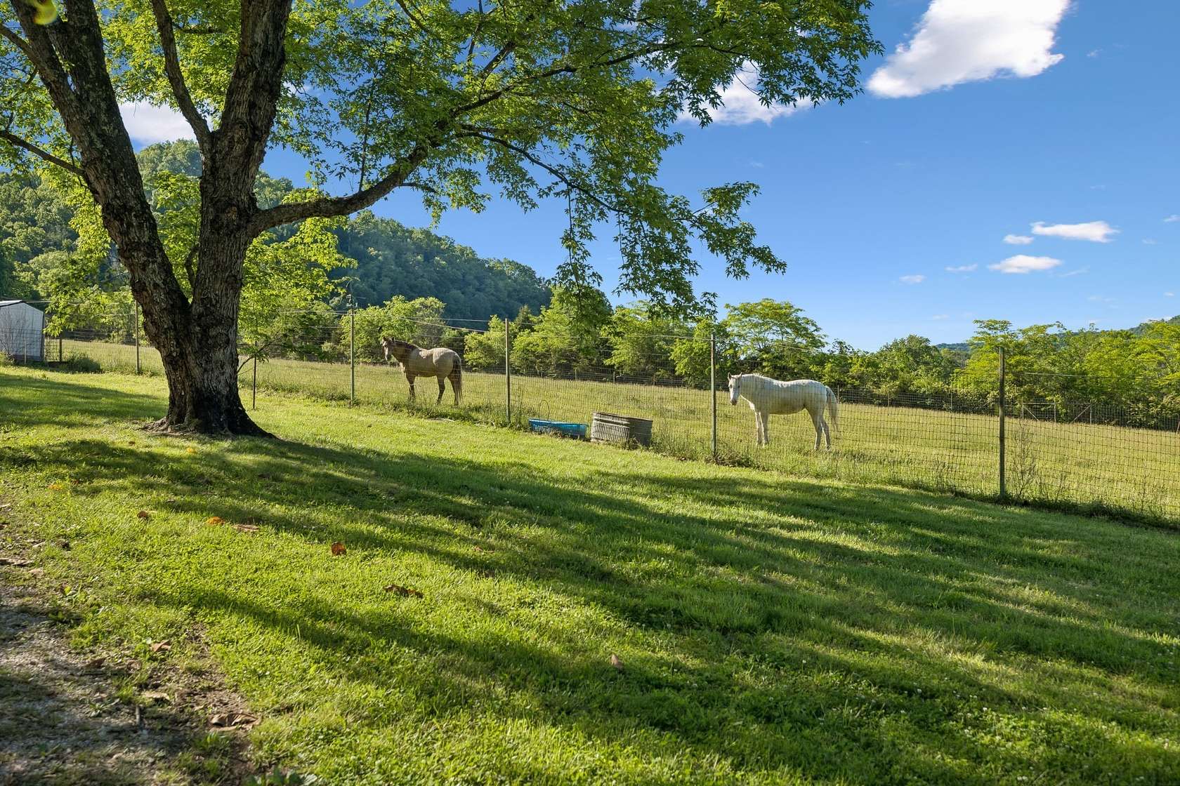 89.4 Acres of Land for Sale in Hickman, Tennessee