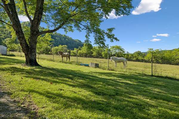 89.4 Acres of Land for Sale in Hickman, Tennessee