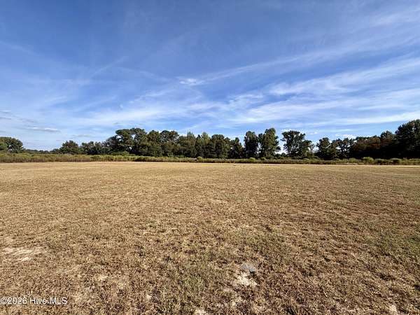 1 Acre of Residential Land for Sale in Clinton, North Carolina