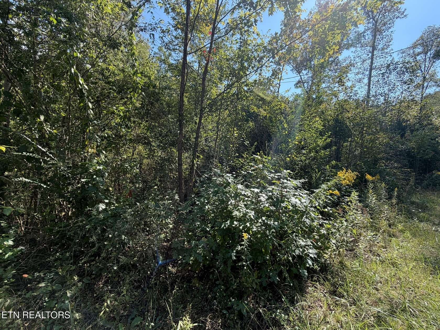 2.18 Acres of Residential Land for Sale in Oakdale, Tennessee