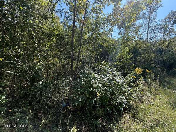 2.18 Acres of Residential Land for Sale in Oakdale, Tennessee