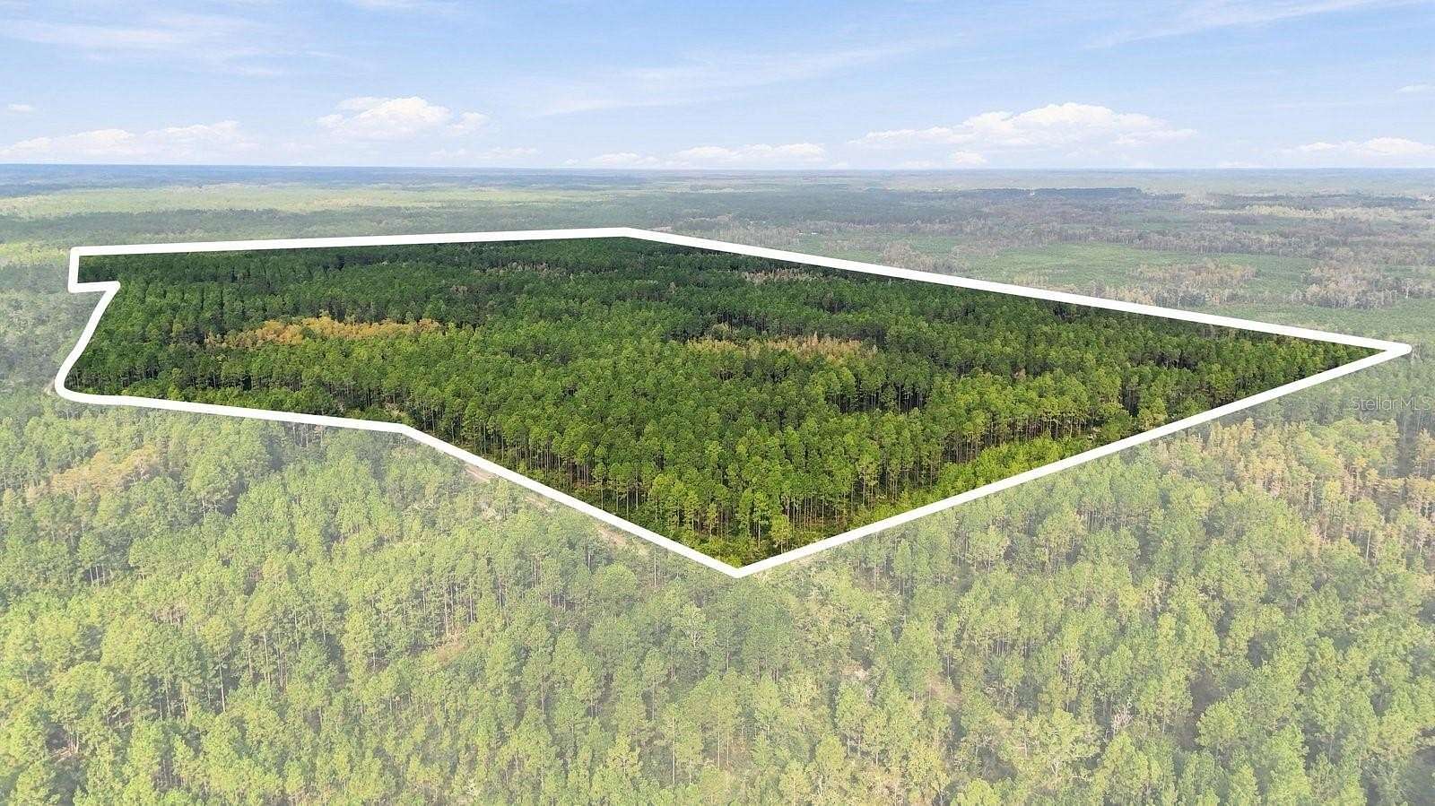 225 Acres of Recreational Land for Sale in Bronson, Florida