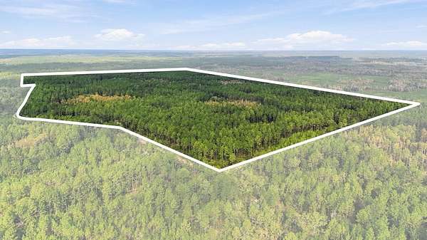 225 Acres of Recreational Land for Sale in Bronson, Florida