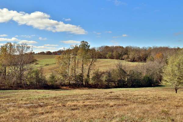 30 Acres of Recreational & Residential Land for Sale in Walnut Grove, Missouri