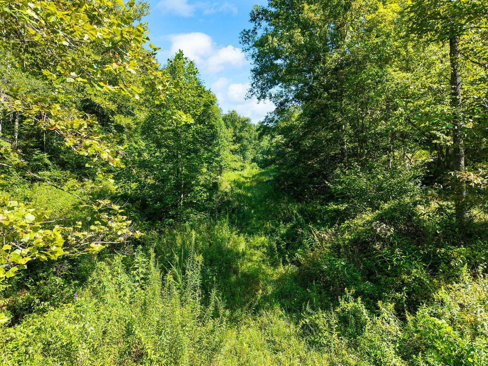 80 Acres of Recreational & Residential Land for Sale in Beattyville, Kentucky