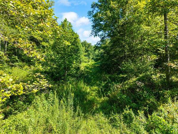 80 Acres of Recreational & Residential Land for Sale in Beattyville, Kentucky