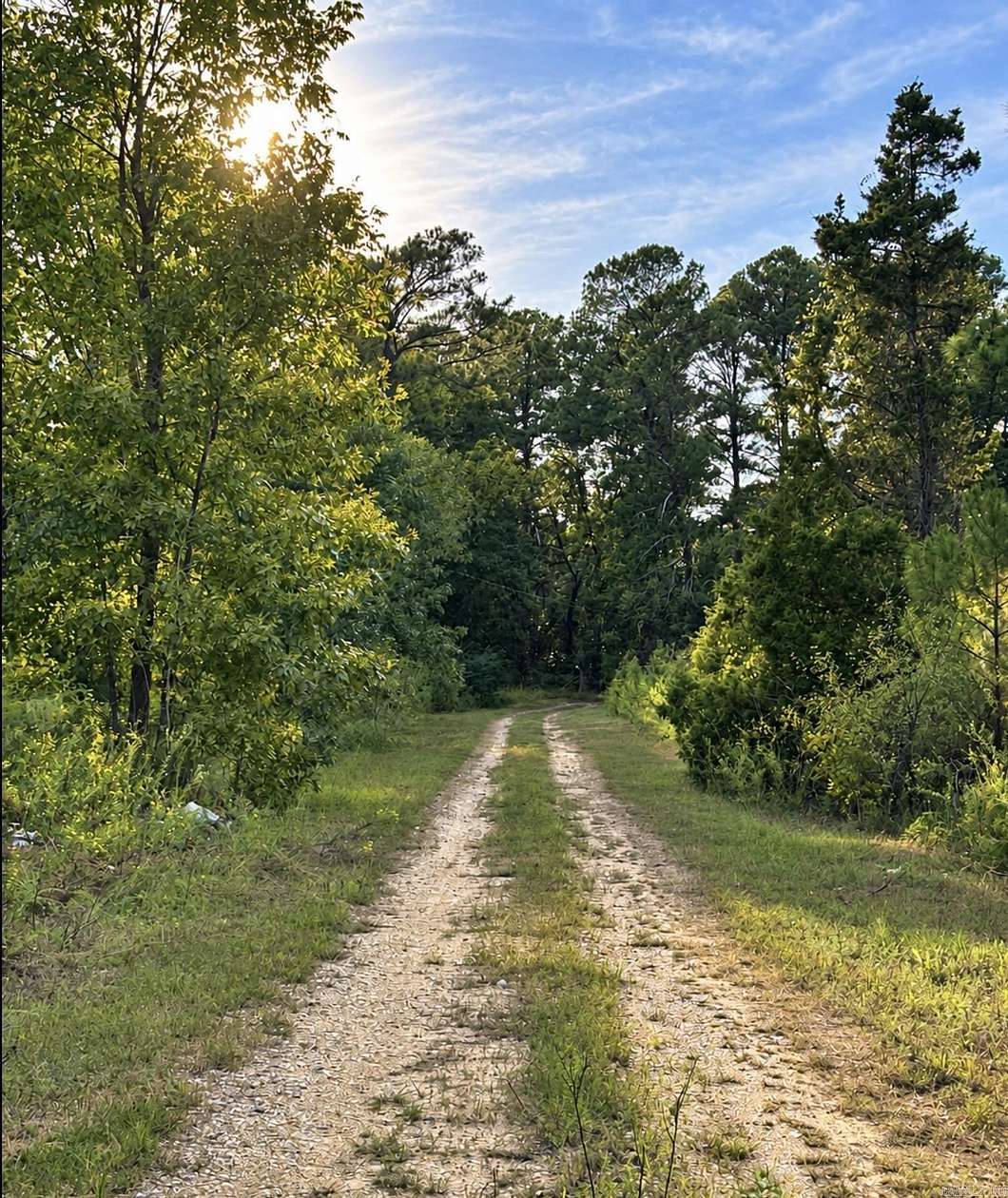 13.5 Acres of Land with Home for Sale in Camden, Arkansas