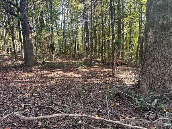 1 Acre of Residential Land for Sale in Lincolnton, North Carolina