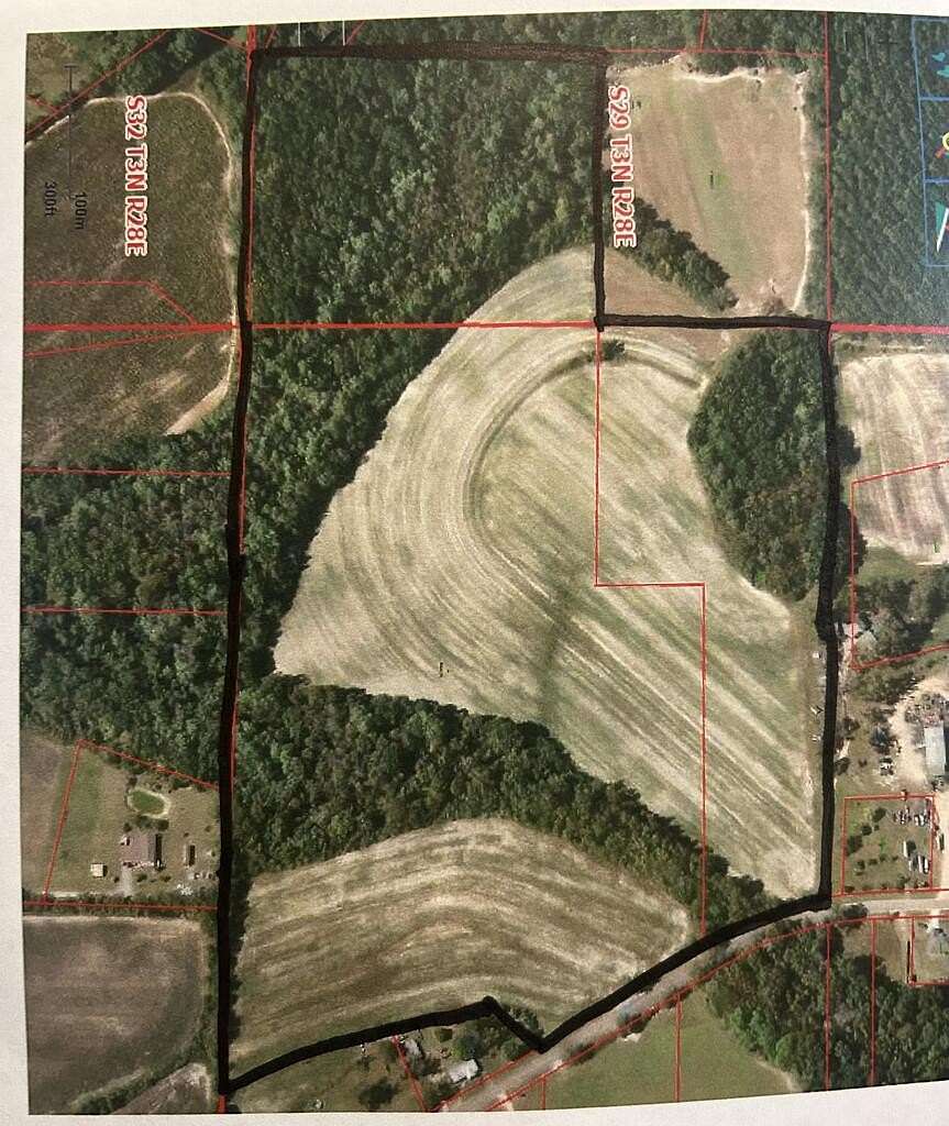 58 Acres of Agricultural Land for Sale in Ashford, Alabama