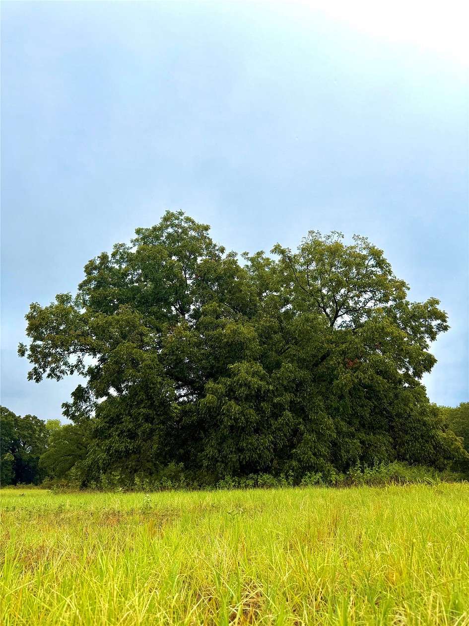 10 Acres of Land for Sale in Point, Texas