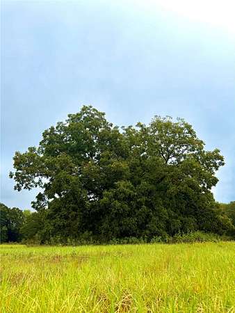 10 Acres of Land for Sale in Point, Texas