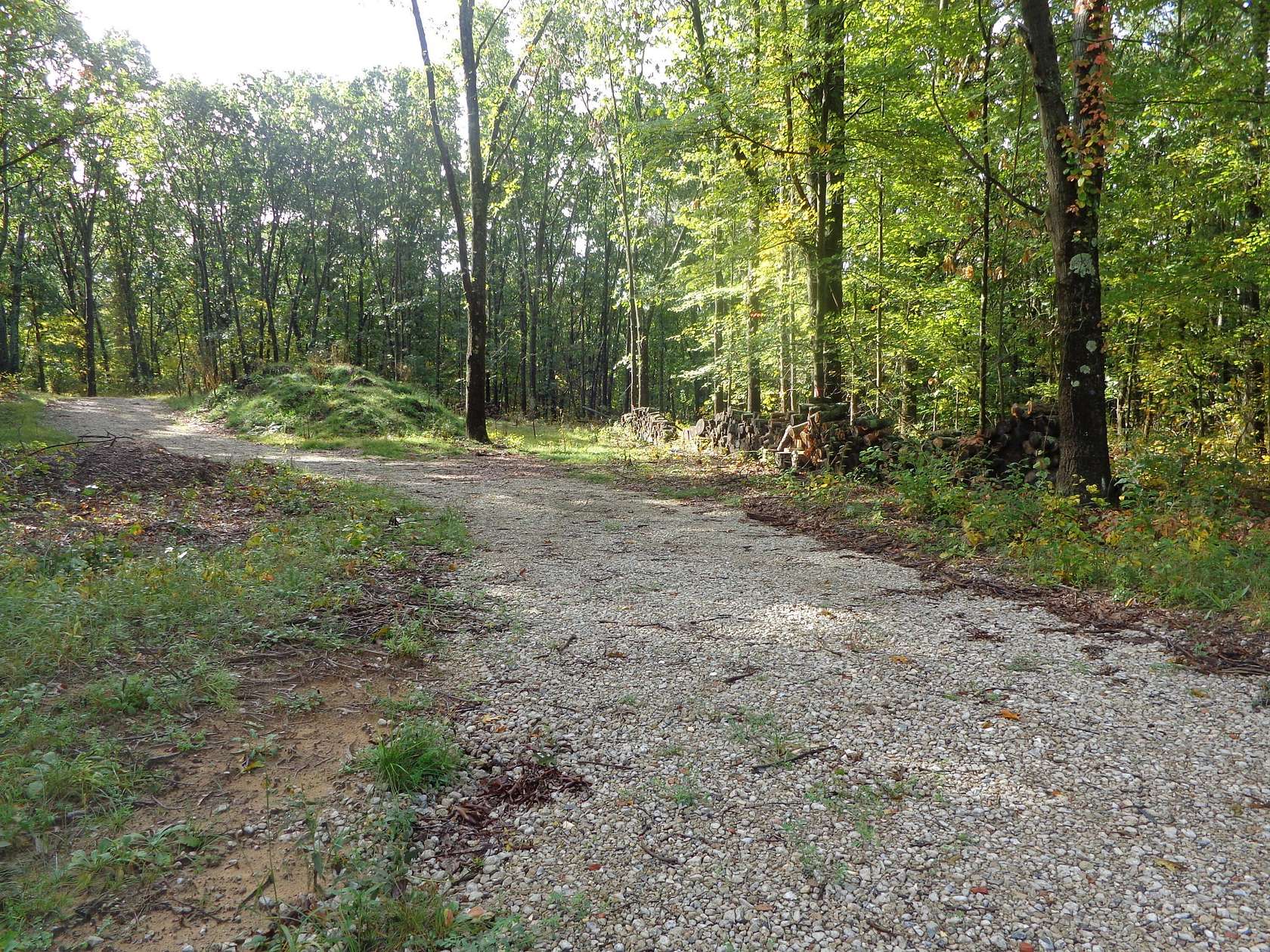1 Acre of Residential Land for Sale in Pullman, Michigan