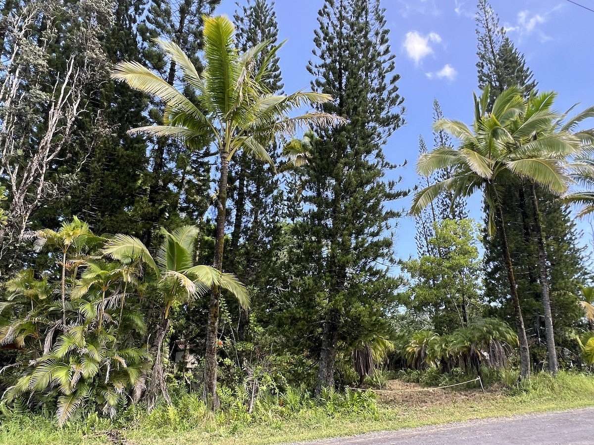 1 Acre of Land for Sale in Keaau, Hawaii