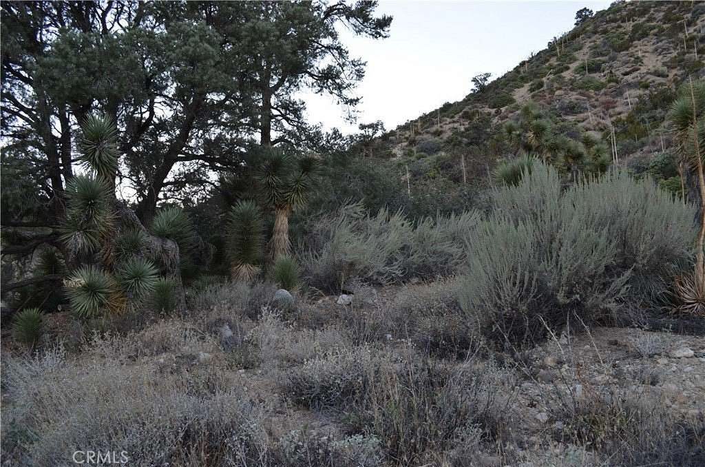 1.25 Acres of Residential Land for Sale in Piñon Hills, California