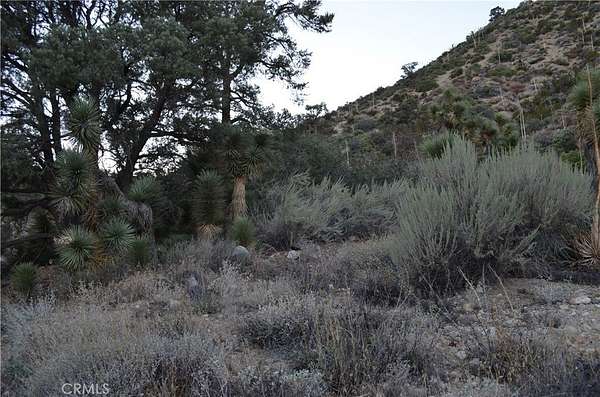 1.25 Acres of Residential Land for Sale in Piñon Hills, California