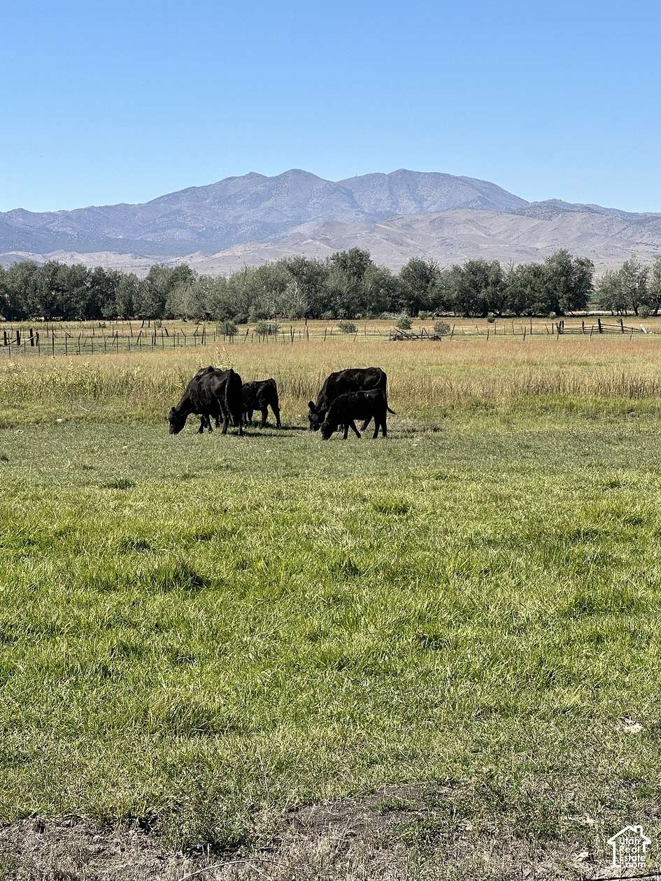 8 Acres of Residential Land for Sale in Goshen, Utah