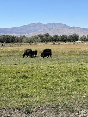 8 Acres of Residential Land for Sale in Goshen, Utah