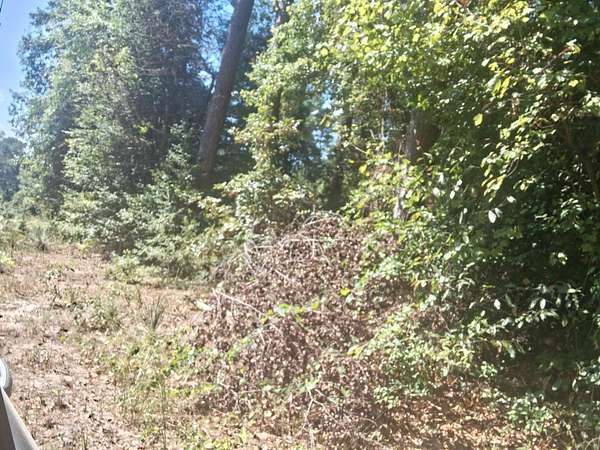 0.14 Acres of Land for Sale in Harleton, Texas