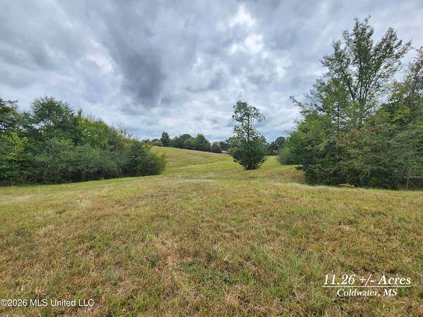 11.3 Acres of Land for Sale in Coldwater, Mississippi