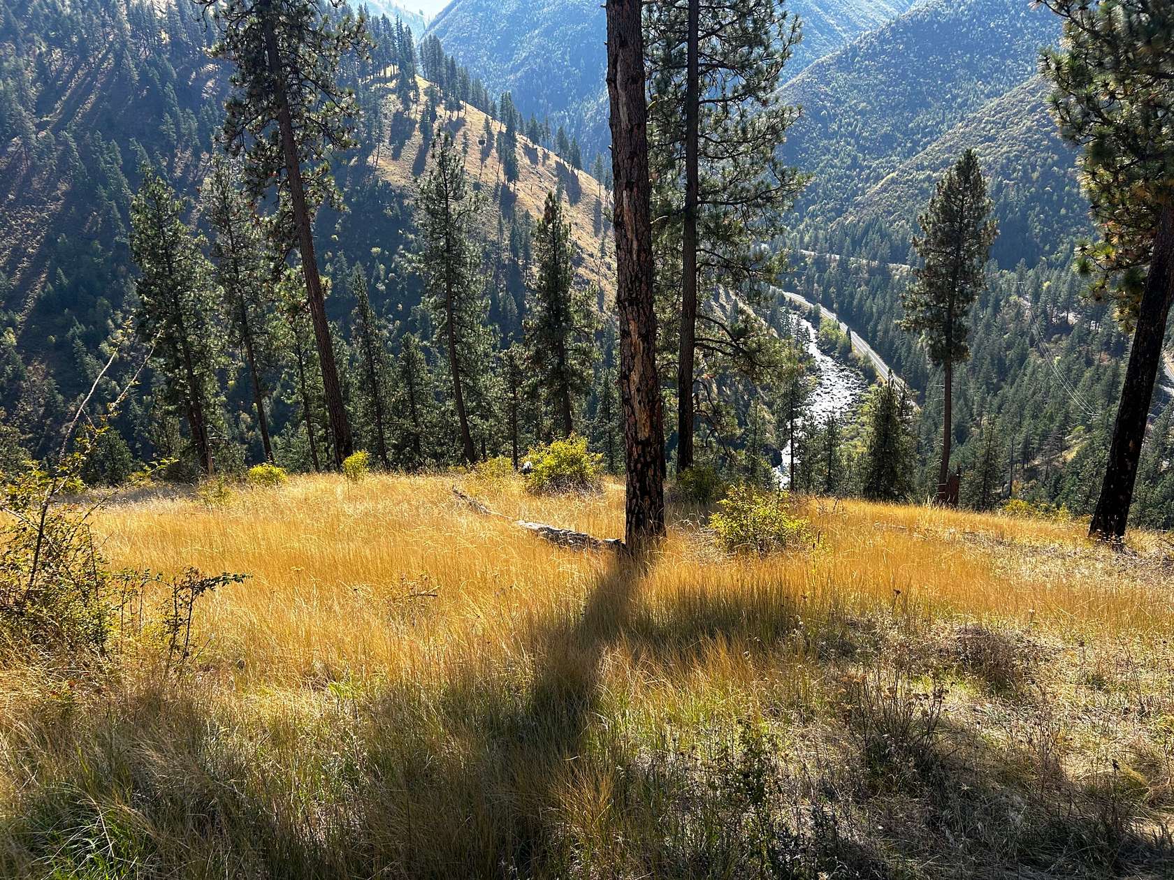 8.34 Acres of Recreational Land for Sale in Grangeville, Idaho