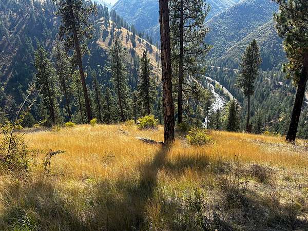 8.34 Acres of Recreational Land for Sale in Grangeville, Idaho